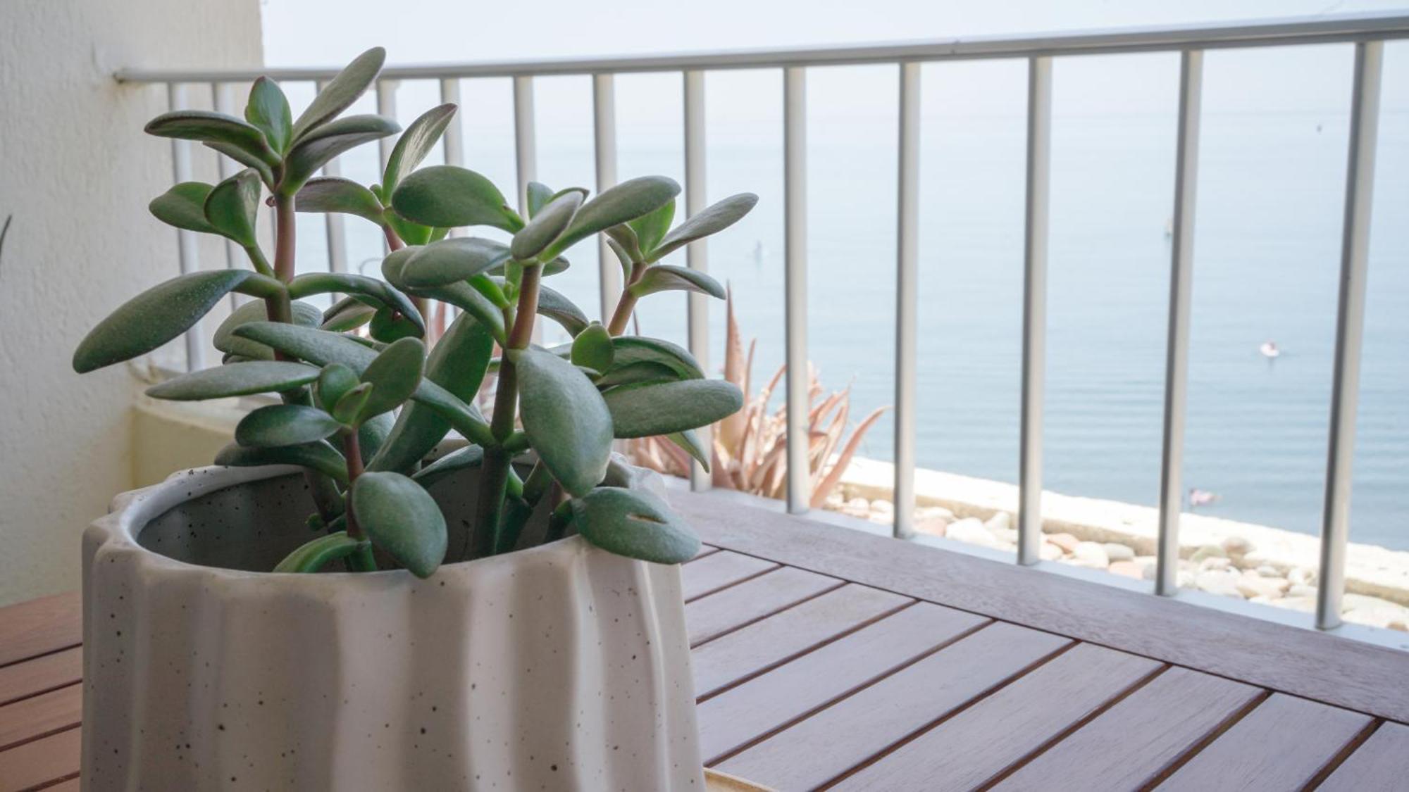 Apartamento Brisa Del Mar Almuñécar Dış mekan fotoğraf