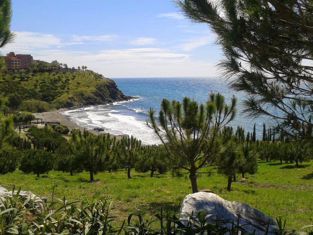 Apartamento Brisa Del Mar Almuñécar Dış mekan fotoğraf